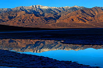 Telescope Peak reflected in pond at Badwater, Death Valley National Park, California, USA  January 2013
