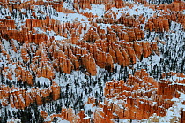 View of Amphitheatre hoodoos from Bryce Point, with snow, patterns formed by erosion in sandstone, Bryce Canyon National Park, Utah, USA December 2012