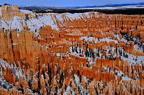 View of Amphitheatre hoodoos from Bryce Point, with snow, patterns formed by erosion in sandstone, Bryce Canyon National Park, Utah, USA December 2012