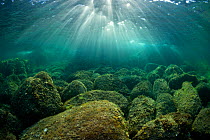 Afternoon sunrays dancing over rocks, in shallow water. Capo Comino, Sardinia, Italy. Mediterranean Sea.