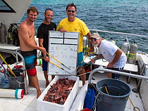 Divers pose with the log of culled invasive lionfish (Pterois volitans), from three dive sites. Lionfish are native to the Indo-Pacific, but introduced to the Caribbean Sea from aquariums, they are no...