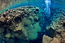 Diver submerges into Silfra Canyon, a deep fault filled with fresh water in the rift valley between the Eurasian and American tectonic plates at Thingvellir National Park, Iceland. May 2011. In this p...