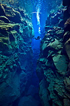 Diver explores the cathedral at Silfra Canyon, deep fault filled with fresh water in the rift valley between the Eurasian and American tectonic plates, at Thingvellir National Park, Iceland. May 2011....