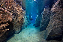 A diver explores Nes Canyon, a fault filled with fresh water in the rift valley between the Eurasian and American tectonic plates in northern Iceland. May 2011.