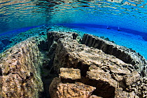 Pair of divers floating in Silfra Canyon, a deep fault filled with fresh water in the rift valley between the Eurasian and American tectonic plates) at Thingvellir National Park, Iceland. May 2011.  I...