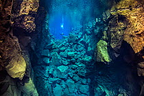 A diver explores Silfra Canyon, a deep fault filled with fresh water in the rift valley between the Eurasian and American tectonic plates at Thingvellir National Park, Iceland. May 2011.  In this phot...