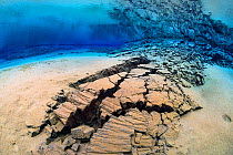A fracture in the earth's crust in the rift valley between the American and Eurasian continental plates in Iceland. This fracture was underwater in a shallow lagoon, filled with crystal clear spring w...
