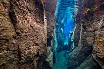 The narrow Nes Canyon, a fault filled with fresh water in the rift valley between the Eurasian and American tectonic plates in northern Iceland.