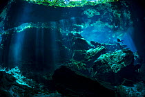 A diver explores Chac Mool Cenote (or sinkhole) Puerto Aventuras, Quintana Roo, Mexico.