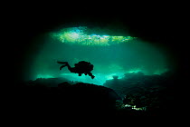 A diver explores Chac Mool Cenote. Puerto Aventuras, Quintana Roo, Mexico.