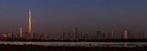 Greater Flamingos (Phoenicopterus roseus) feeding in lake at sunrise at Ras Al Khor Wildlife Sanctuary (Ramsar site), with the Dubai skyline in the background and the first rays of the sun catching th...