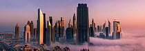 Downtown Dubai skyline at dawn, with unusual low cloud and mist rolling in. Dubai, United Arab Emirates. April 2013