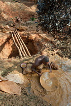 Gold miner digging and panning for gold in the forests near Andranotsimaty, Daraina, north east Madagascar. November 2012