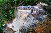 Alex Hyde photographing Gulik Falls. The edge of southern plateau, Maliau Basin. Sabah, Borneo.