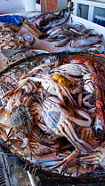 Various shellfish on sale in fish souk (market) in Sharjah, United Arab Emirates. April 2013