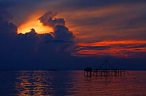 Fish traps at sunset, Inanuran Island, Danajon Bank, Central Visayas, Philippines, April 2013