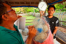 Project Seahorse foundation staff weighing discarded plastic fishing nets collected and ready to be shipped out for recycling into carpet material, Jao Island, Danajon Bank, Central Visayas, Philippin...