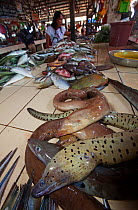 Fish market, with Moray eels Talibon, Danajon Bank, Central Visayas, Philippines, April