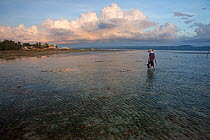 Woman foraging for sea food, Batasan Island, Danajon Bank, Central Visayas, Philippines, April 2013