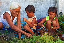 Eldery lady and children tying seaweed from seaweed far, Hambungan Island, Danajon Bank, Central Visayas, Philippines, April 2013