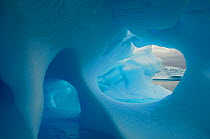 DUPLICATE DELETE Icebergs with holes in the ice, Iceberg Alley, Pleneau Island, Antarctica.