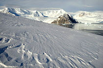 Neko Harbour landscape, Andvord Bay, Antarctic Peninsula, Antarctica.