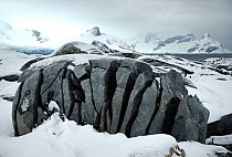 Fissured rock, caused by ice action (a freeze and thaw process) Petermann Island. Antarctica