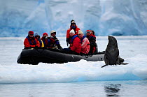 Antarctic fur-seal (Artocephalus gazella) on an ice floe being watched by tourists in a zodiac boat, Antarctic Peninsula, Antarctica