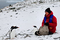 Tourist with some Gentoo penguins (Pygoscelis papua) Danco Island. Antarctic Peninsula, Antarctica