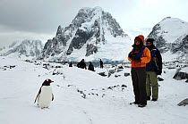 Tourists and Gentoo penguin (Pygoscelis papua)  Petermann Island. Antarctic Peninsula, Antarctica