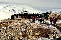 Tourists watching Gentoo penguin (Pygoscelis papua) at Gonzalez Videla Station, Chile. Antarctic Peninsula, Antarctica