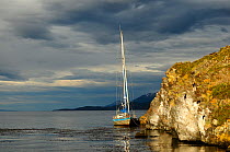 Sailing boat moored in the Beagle Channel (named after visit of the HMS Beagle and Darwin), Tierra del Fuego, Argentina.