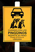 Traffic sign warning of penguins crossing. Ushuaia, Tierra del Fuego, Argentina.