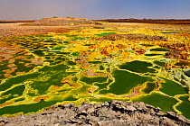 Mineral deposits at the Dallol hydrothermal site on the Karoum salt lake, Danakil depression, northern Ethiopia. February 2009.