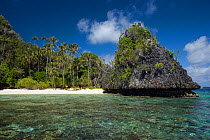 White sandy beach and palm trees on an island of the Farondi Islands group, Misool, Raja Ampat, Irian Jaya, West Papua, Indonesia, Pacific Ocean