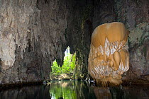 Karst formation inside a big cave, Raja Ampat, Irian Jaya, West Papua, Indonesia, Pacific Ocean
