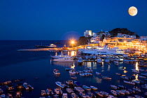 View of Ponza's harbour at night with full moon, Ponza Island, Italy, Tyrrhenian Sea, Mediterranean, July 2008