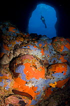 Scuba diver in cave and rocks covered with sponges, Ponza Island, Italy, Tyrrhenian Sea, Mediterranean