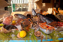 Fresh fish and mixed seafood on ice  in restaurant, Ischia Island, Italy, Tyrrhenian Sea, Mediterranean
