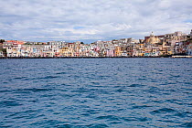 View from sea of Procida harbour, Corricella, island in front of Ischia Island, Italy, Tyrrhenian Sea, Mediterranean