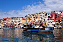 Boats in  Procida  harbour, Corricella, island in front of Ischia Island, Italy, Tyrrhenian Sea, Mediterranean