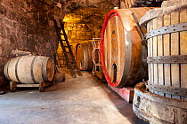 Wine cellars, Ischia Island, Italy, Tyrrhenian Sea, Mediterranean