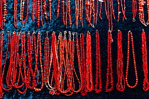 Necklaces made from Mediterranean Red coral (Corallium rubrum), Vulnerable (IUCN), Village of Komisa, Vis Island, Croatia, Adriatic Sea, Mediterranean