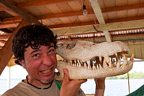 Man holding up Caiman's skull to the side of his head for comparison, Acajatuba Lake, Negro River, Amazonas, Brazil