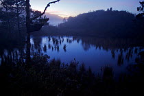 Montane pond reflects the dawn sky near Lake Habbema. Jayawijaya Mountains, Papua, New Guinea, Indonesia. June 2010