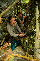 Photographer Tim Laman and scientist Edwin Scholes set up to shoot stills and video from a canopy platform at at lek of Wallace's Standardwing Bird of Paradise, North Maluku, eastern Indonesia, July 2...