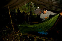Edwin Scholes sets up his mosquito net at our high camp at 2000m in the Arfak Mountains, West Papua, Indonesia, August 2008