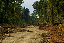 New road cut through pristine lowland rainforest in New Guinea.  This road was built as part of an irrigation project for transmigrants. September 2009