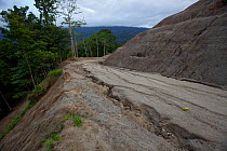 New road through pristine rain forest.  Vogelkop Peninsula, West Papua, Indonesia.