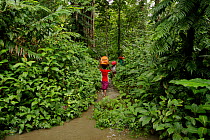 Hike to the base camp on Fergusson Island through flooded forest, with porters carrying gear on their heads, D'Entrecasteaux Islands, Papua New Guinea, September 2011